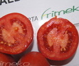 ALBAROSSA F1
