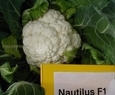 NAUTILUS F1